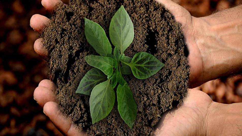 Sustainability in Agriculture