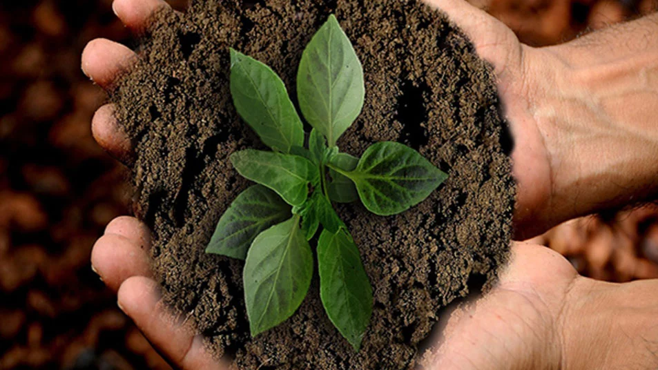 Sustainability in Agriculture